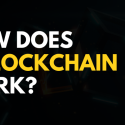How Does a Blockchain Work?