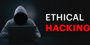 What are the Types of Ethical Hacking?